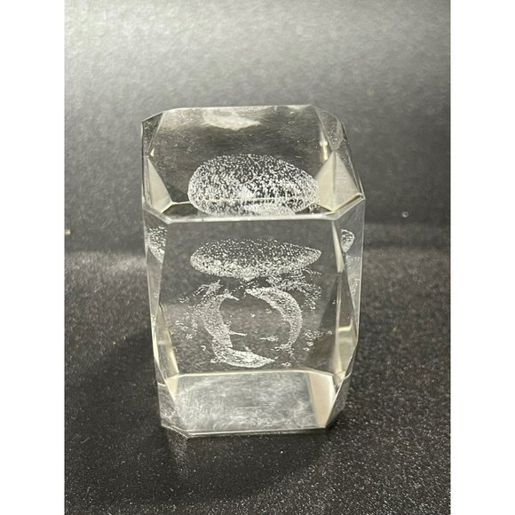 3 Demensional Laser Etched Holographic Dolphin Jelly Fish Cut Glass Paperweight - Picture 1 of 6
